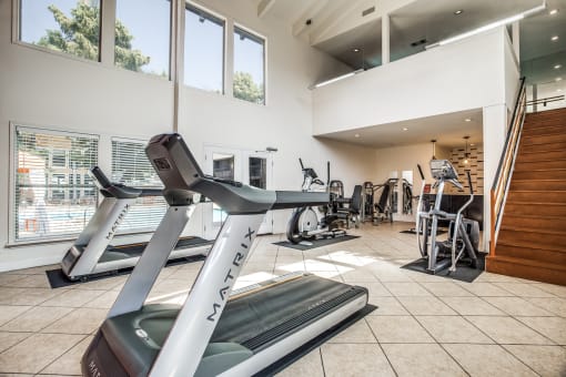 Fitness