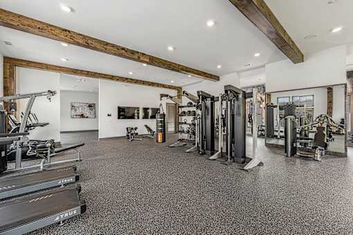 the gym is equipped with weights and cardio equipment