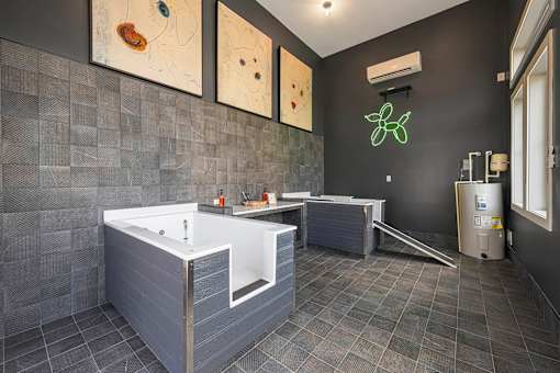 tessa barrow  pet spa