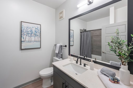 2-Bedroom Apartments in Chattanooga, TN - Populus Waterside - Bathroom with Quartz Countertop, Large Vanity Mirror, Grey Cabinet, and Wall Art.