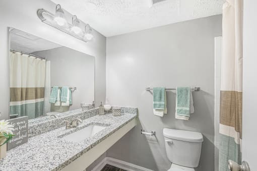 a bathroom with a toilet and a sink and a mirror