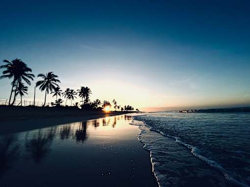 3-Bedroom Apartments in Titusville, FL - Riverwalk Grand - Sunrise View of Beach with Palm Trees, Blue Skies, and Ocean Waves.
