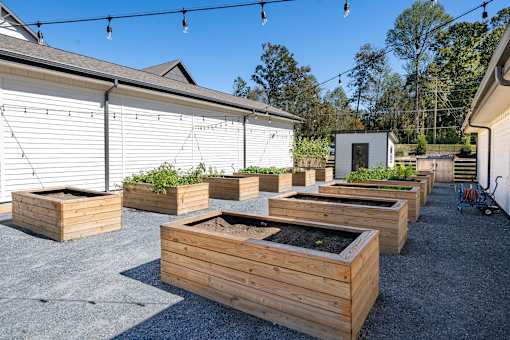 A row of wooden raised garden beds are lined up in a row.