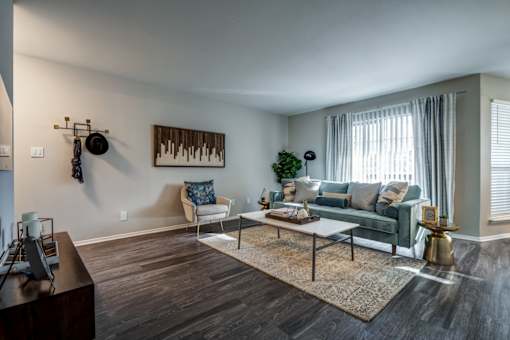 A living room with a couch, chair, and a rug.