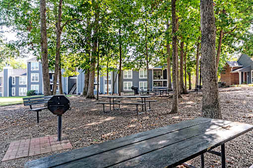 Grilling and Picnic area