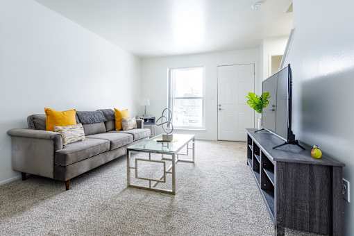 A living room with a grey couch, a coffee table, and a television.