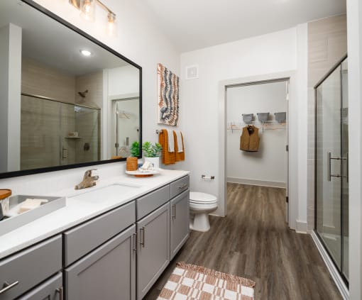 Belmont, NC Apartments - The Banks Apartments - Bathroom with Quartz Vanity Countertop, Large Vanity Mirror, Sliding Glass Door to Stand up Shower, and Attached Spacious Closet.