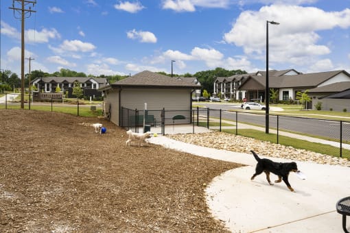 two dogs walking on a sidewalk near a dog park
