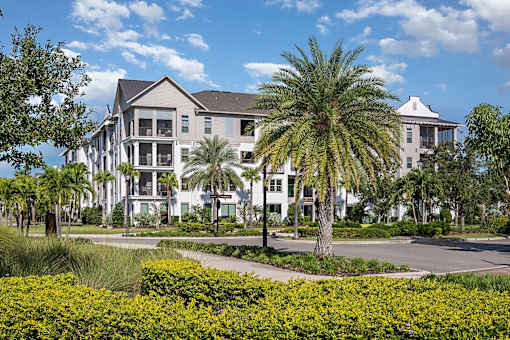 A large white building with a palm tree in front.