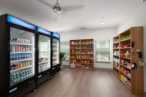 A room with a refrigerator, a shelf, and a plant.