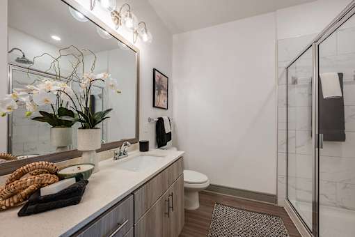 A bathroom with a sink, mirror, toilet, and a shower.