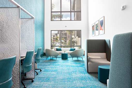 A room with blue carpet and white chairs.