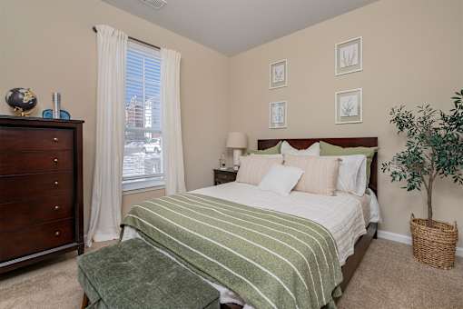A bedroom with a bed, nightstand, and a plant.