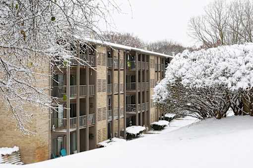 A building with a balcony and a tree covered in snow at Winchell Way Apartment , Kalamazoo, 49008