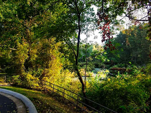 A pathway is seen through a green leafy area at Winchell Way Apartment , Kalamazoo, 49008