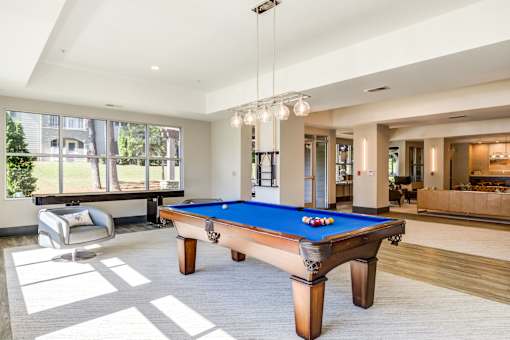 A pool table in a well-lit room with a view of the outdoors.