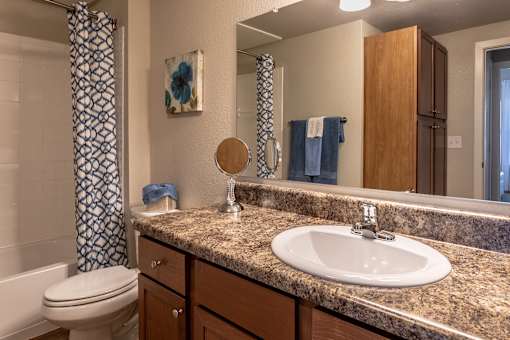 a bathroom with a sink and a toilet and a mirror