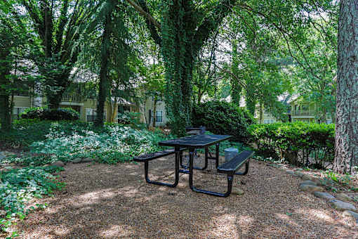 Augusta Commons Picnic Area
