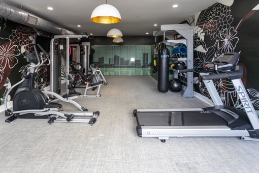 a large fitness room with treadmills and other exercise equipment