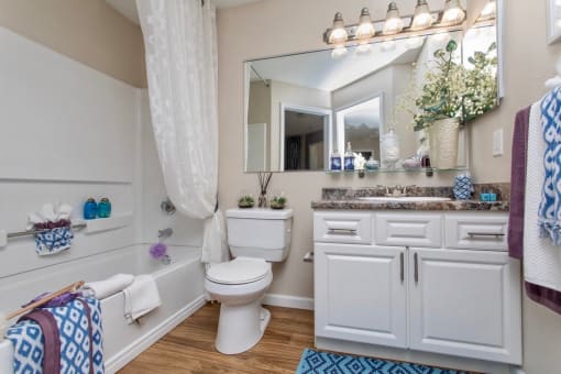 Apartments for Rent in Stockbridge, GA - Avenue 33 - Bathroom With a Large Vanity Mirror, White Cabinets, Wood-Inspired Plank Flooring, a Shower with Tub, and a Large Walk-In Closet with Carpet Flooring.
