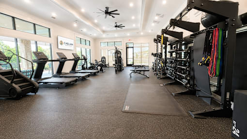 A gym with treadmills, weights, and exercise equipment.