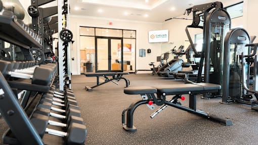 A gym with a variety of equipment including weights and cardio machines.
