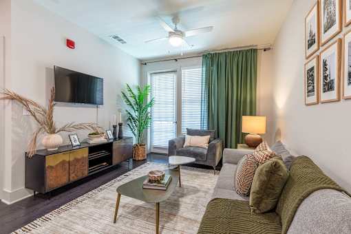 A living room with a grey couch, a coffee table, a TV, and a plant.