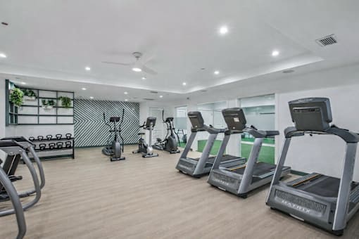 A gym with treadmills, elliptical machines, and dumbbells.