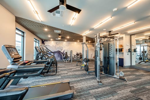 a gym with cardio machines and weights at the renaissance at port royal apartments