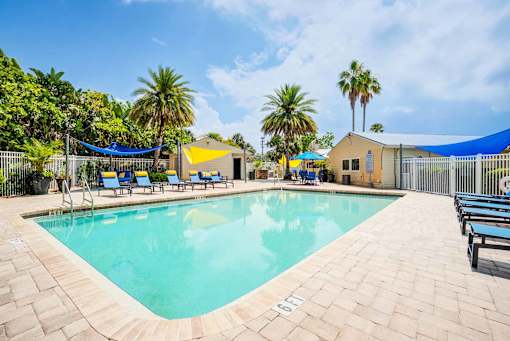 A large outdoor swimming pool surrounded by palm trees and lounge chairs at Coral Club Apartments in Bradenton, FL