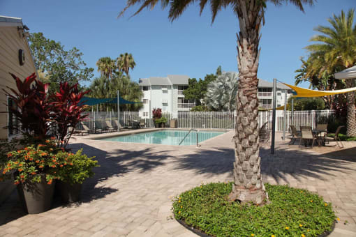 Resort-quality pool just waiting for you to take a dip at Coral Club, Florida