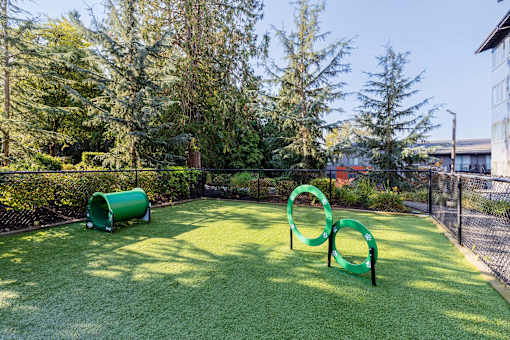 A playground with green and yellow play equipment.