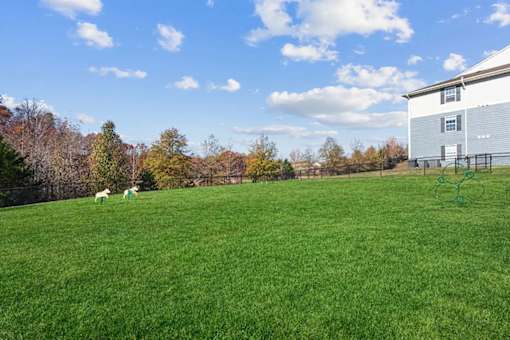 Two sheep graze in a green field with a house in the background.