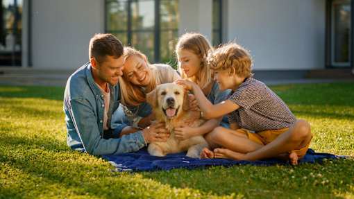 A family of four sitting on a blanket with a dog.
