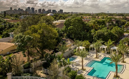 16 FORTY AERIAL OF POOL