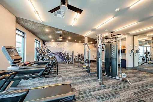 Sleek fitness center with cardio and weights at The Citizen at Waterset in Apollo Beach, FL