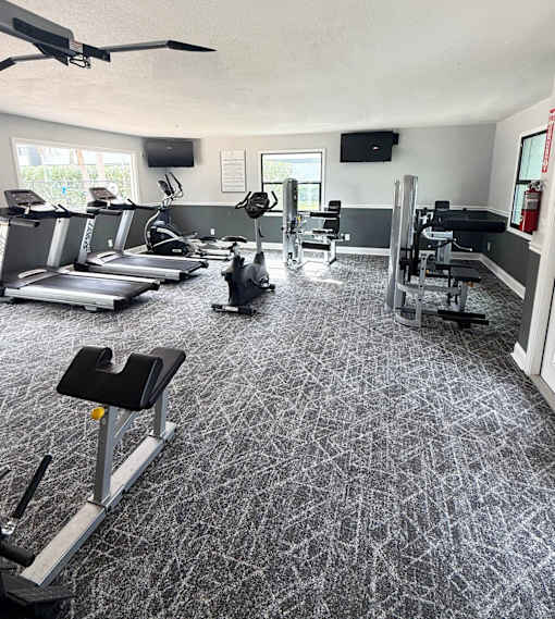 A gym with treadmills, elliptical machines, and other exercise equipment.