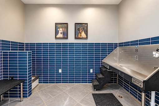 A room with a sink and two framed pictures of dogs on the wall.