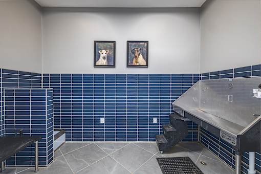A kitchen with blue tiles and two framed pictures of dogs on the wall.