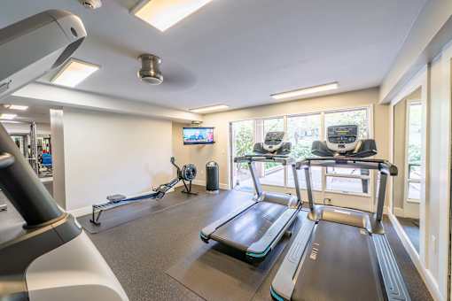 A gym with treadmills and elliptical machines.