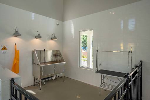 A kitchen area with a stainless steel sink and a window.