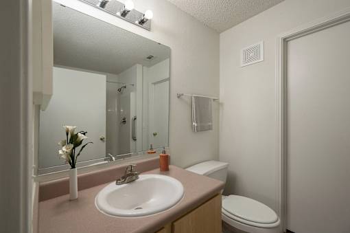 A bathroom with a sink, toilet, and mirror.