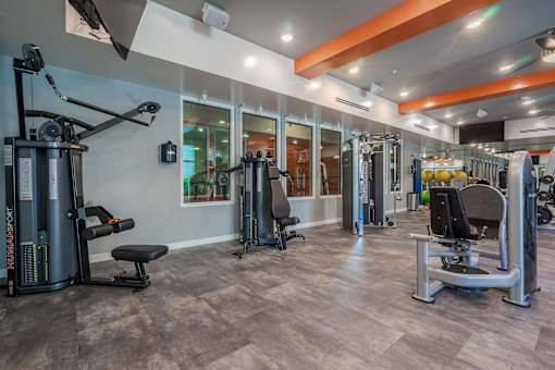 Two-Bedroom Apartments in Tampa, FL - Havana Square - Fitness Center with Cardio and Free Weights.