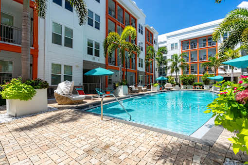 3-Bedroom Apartments in Tampa, FL - Havana Square - Modern Resort-Style Swimming Pool with Umbrellas, Lounge Seats, Plants, and Palm Trees.