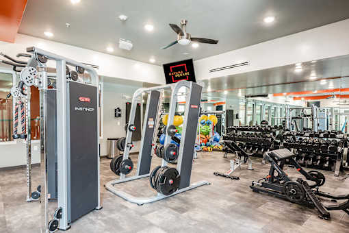 A gym with a variety of equipment including a squat rack and a treadmill.