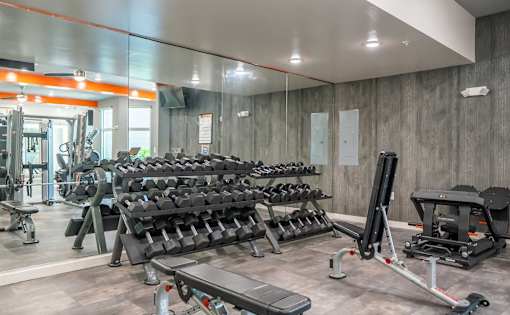 A gym with a variety of equipment including dumbbells, weight machines, and benches.