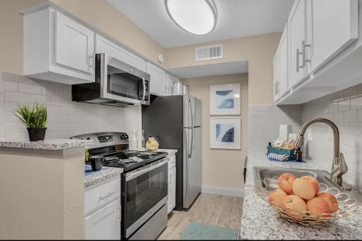 Haven Lake Deer  Kitchen