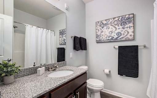 A bathroom with a toilet, sink, mirror, and a plant.
