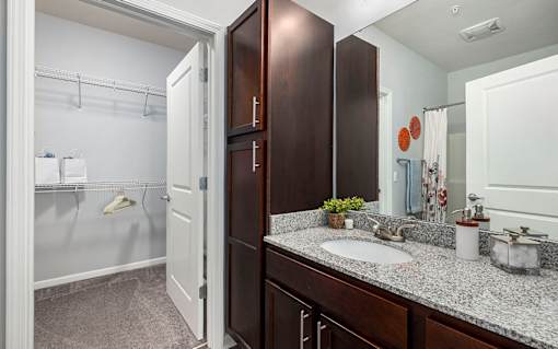A bathroom with a sink, mirror, and a shower.