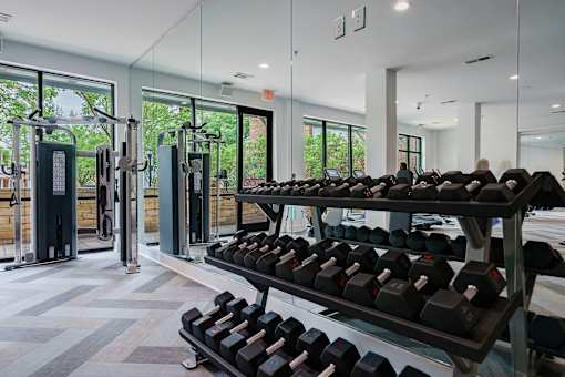 A gym with a row of dumbbells on a rack.